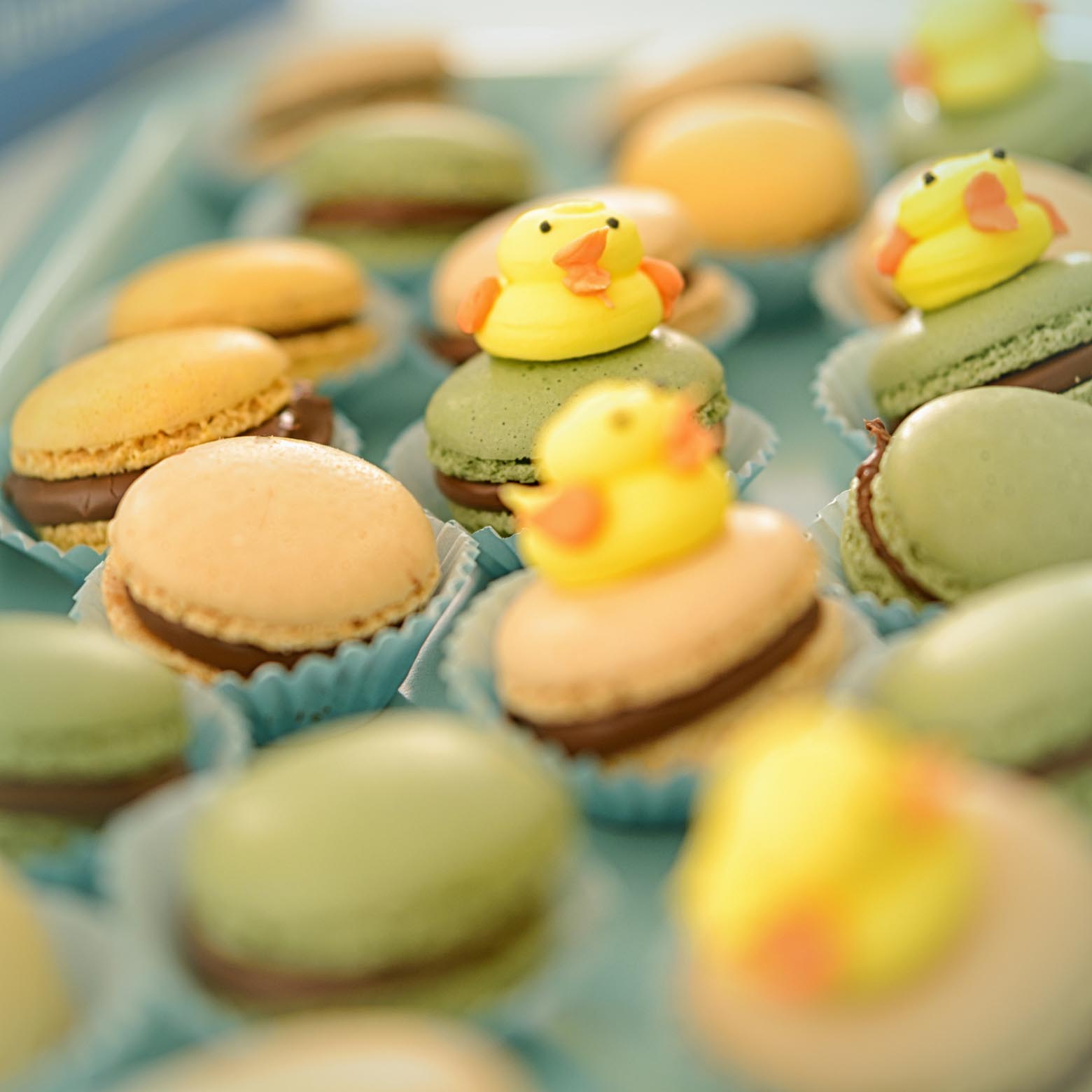 Duck Macarons